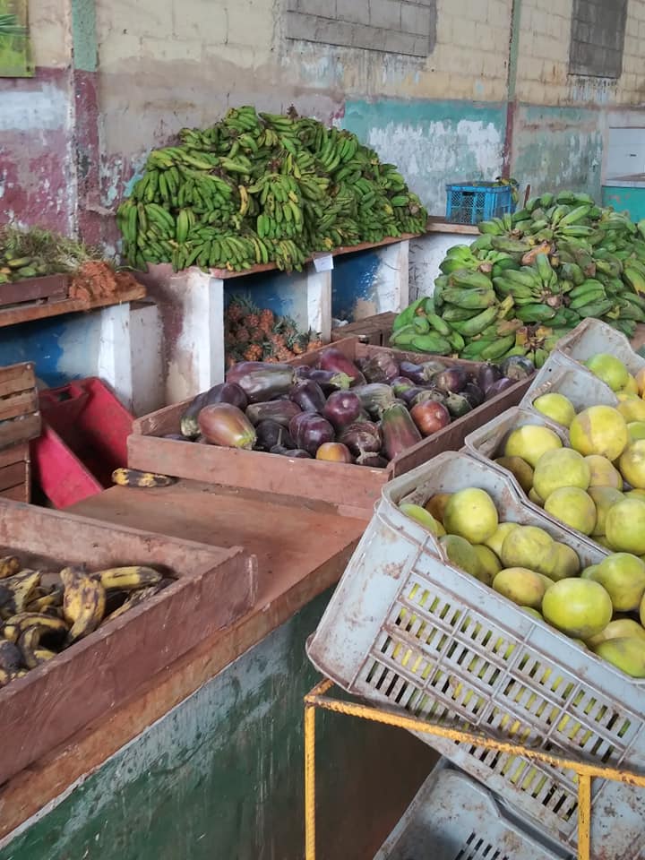 How to travel from Florida to Cuba in 2020